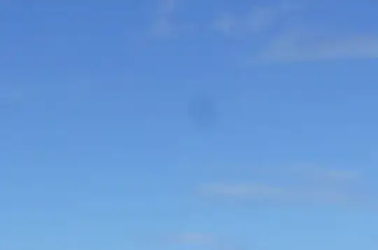Spot