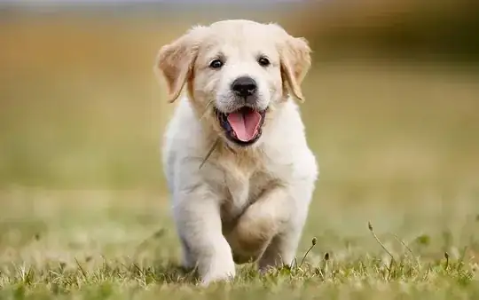 Image with huge amount of bokeh