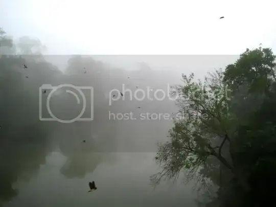 The Mist - edited