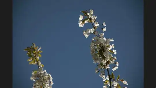 The second (zoomed in then out) preview in the Photos app