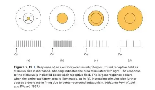 receptive fields