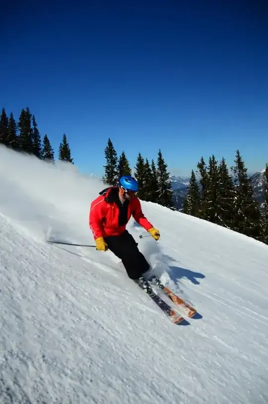 skier