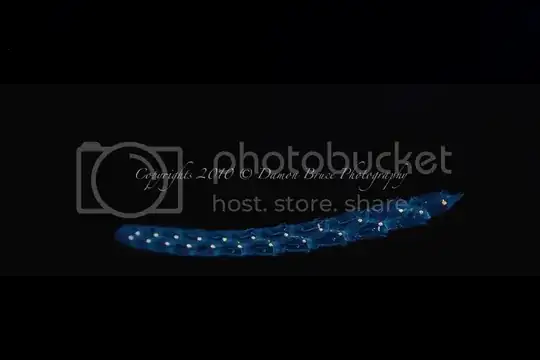 Blackwater Dive