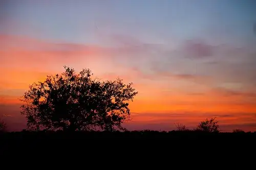Sunset, Walburg, TX
