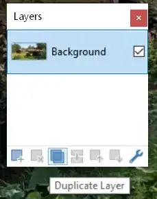 Duplicate Layer