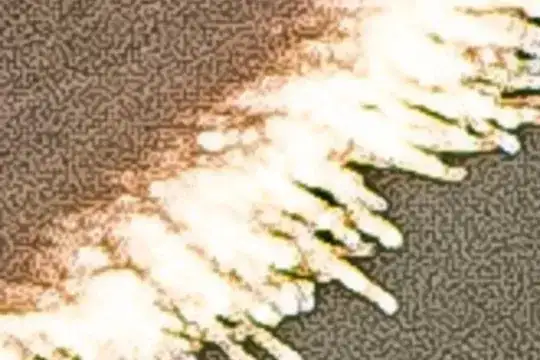 4X crop