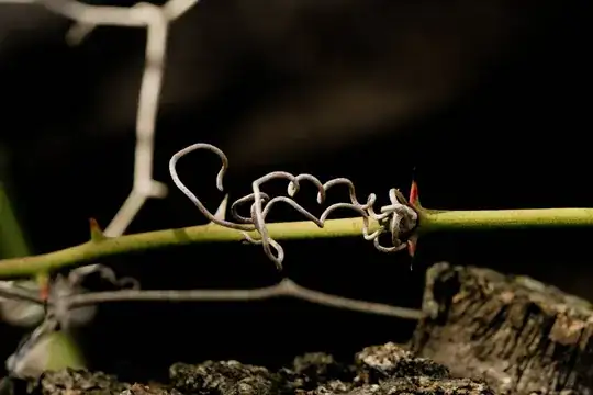 vine and thorns