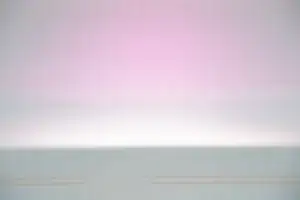 Garage Door