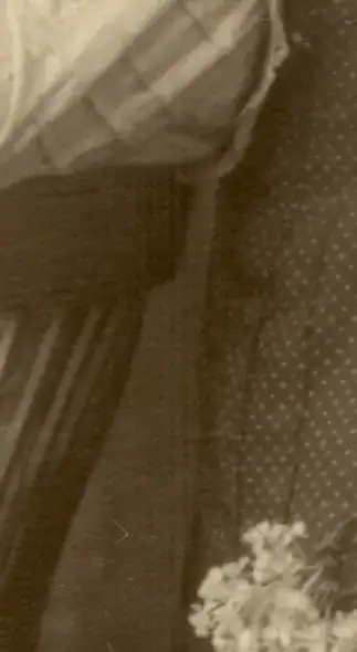 sample image 2