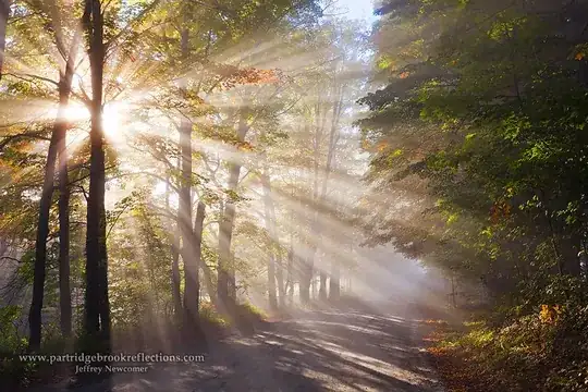 light rays