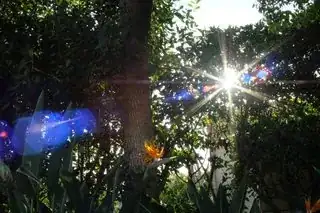 flare ghosts