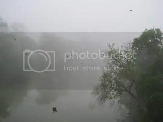 The Mist - original