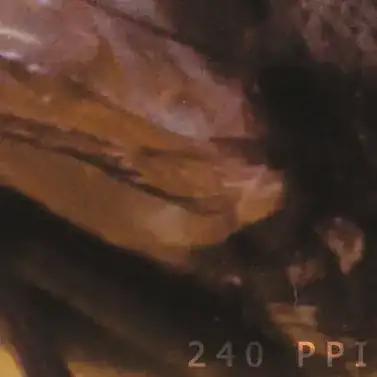 Fly Wing Joint @ 240ppi