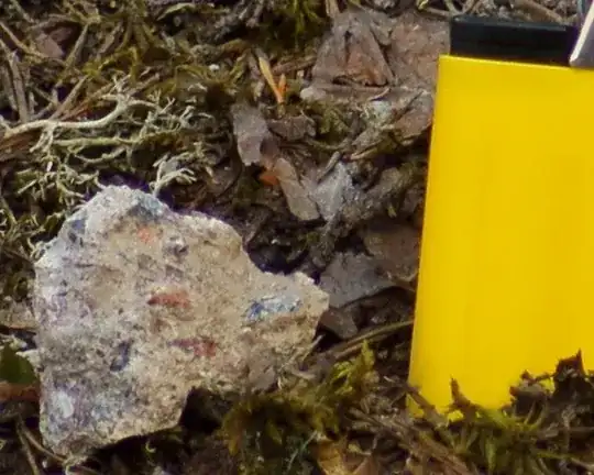Sony cropped to 100% pixel size