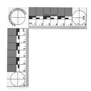 forensic photo scale