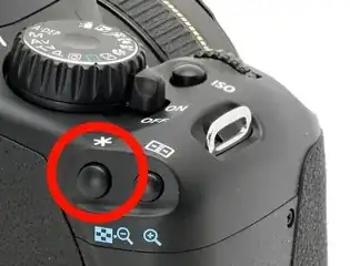 Back Button Focus