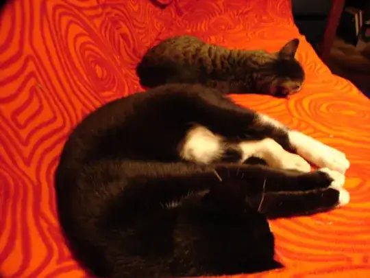 Wide angle cats left to right