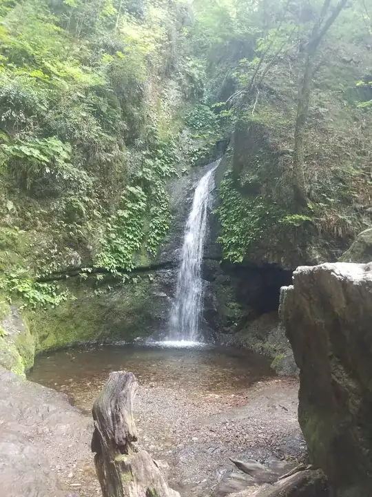Samsung Galaxy S8+ picture