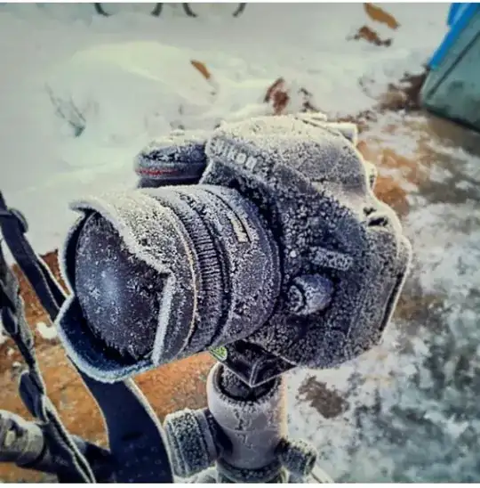 Frost bite