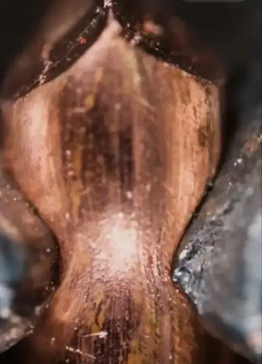 Pliers cut a piece of copper