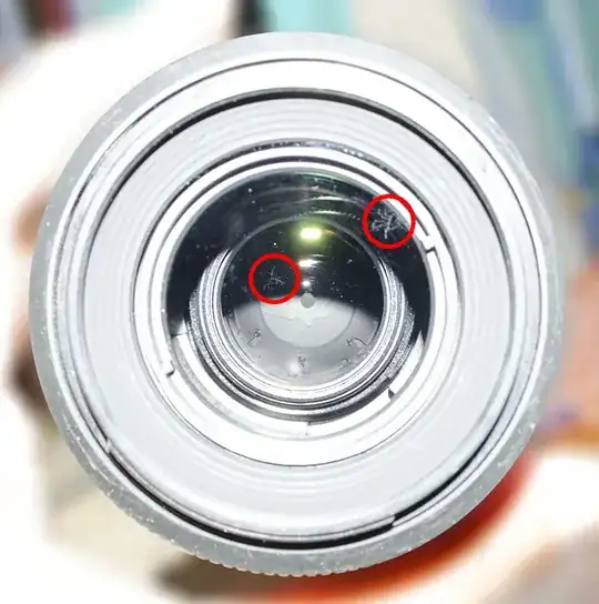 55-200mm Nikon lens