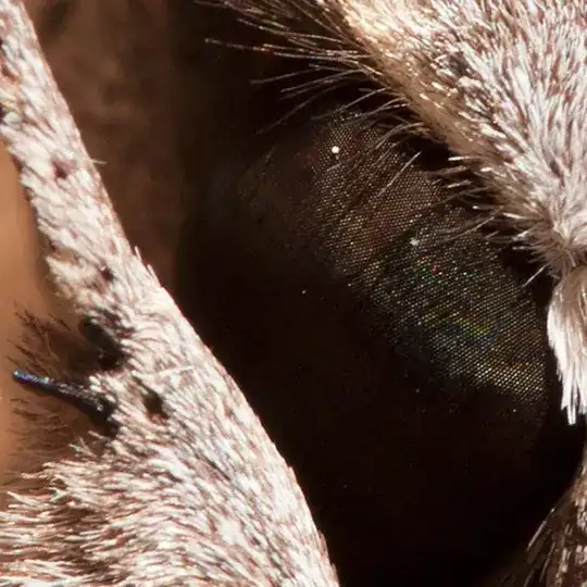 Stepped Bicubic Upscaling, 5% increments, to 36x24