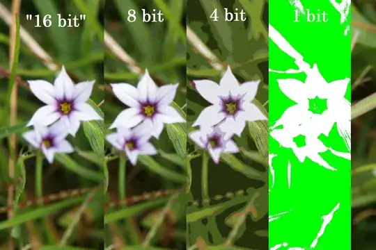 flower image