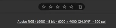 raw photo editor view