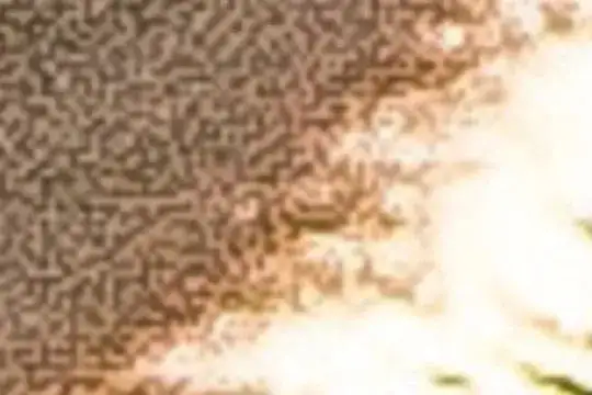 8X crop