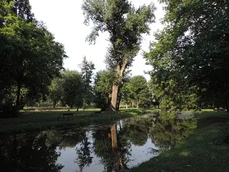 nature