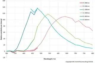 Foveon sensitivity