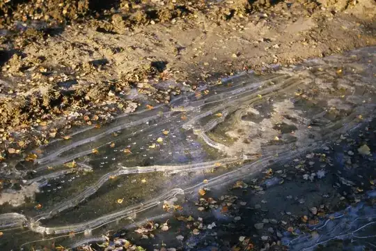 Frozen Puddle