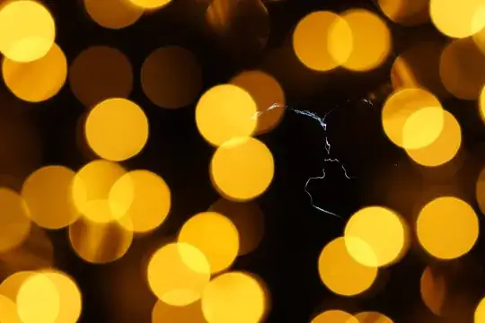 silhouette photo