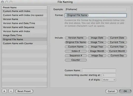 Name Format Dialog