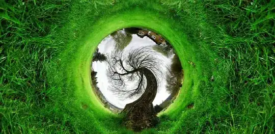 Tree with a round globe like center