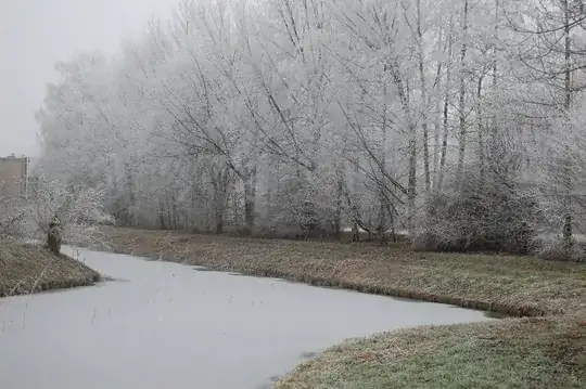 Frozen Canal