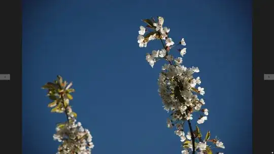 The first preview that opens in the Photos app