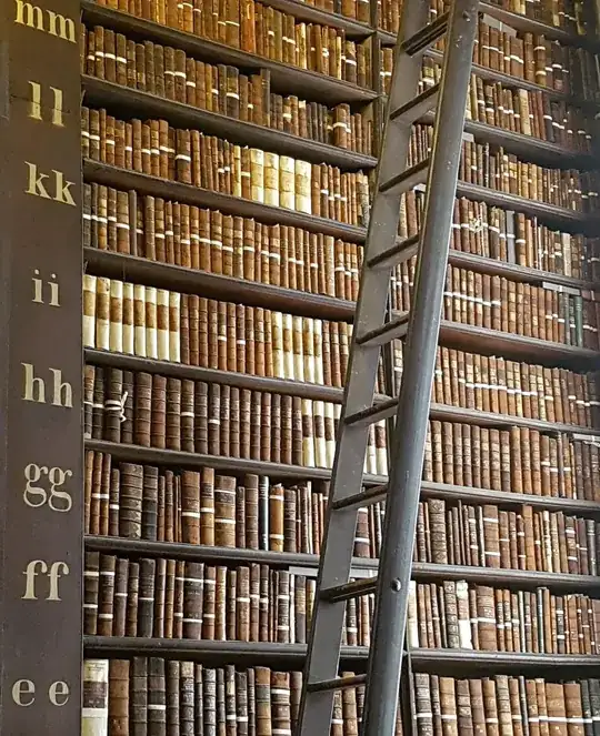 Many Leather Bound Books