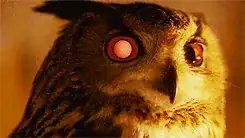 Blade Runner - Owl