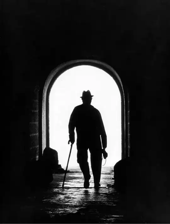 contre-jour