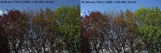16-80 mm vs 18-105 mm