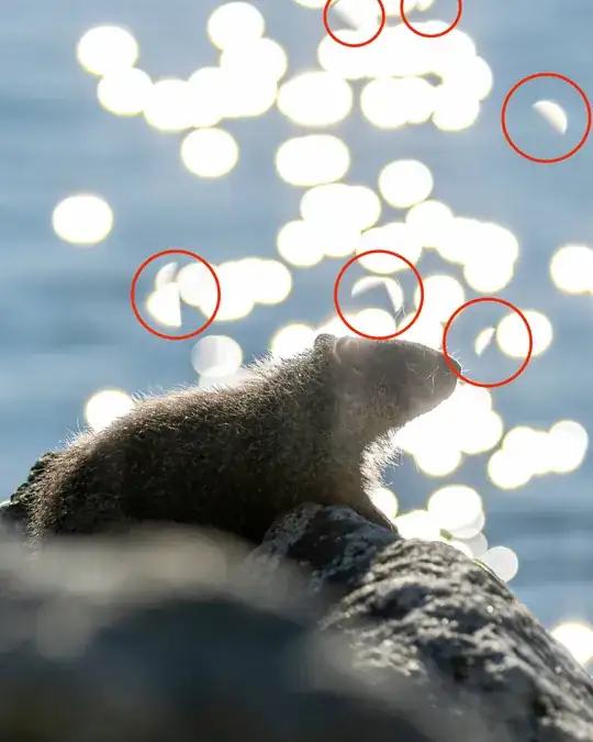 Irregular bokeh