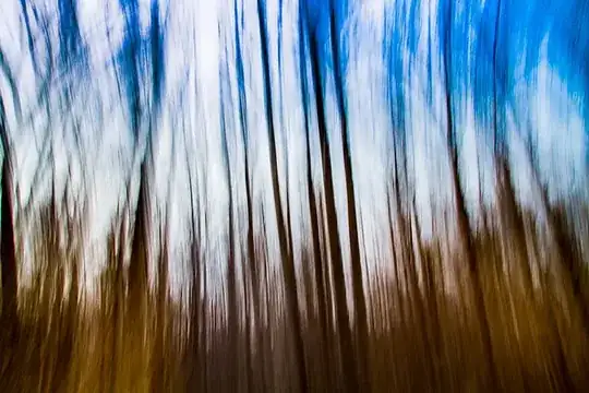 _MG_5812.jpg