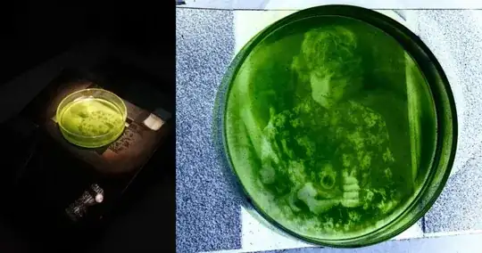 algae print