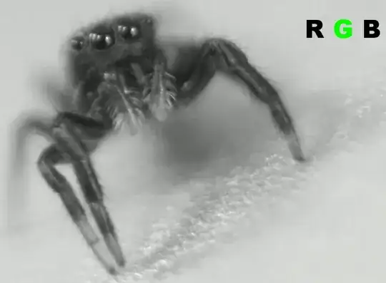jumping spider RGB focus breakdown