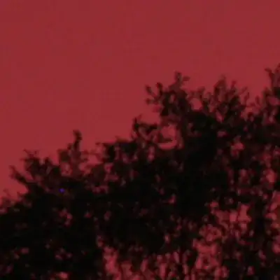 magnification