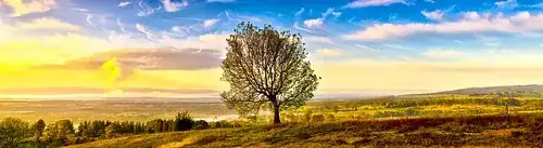 Silent Spring