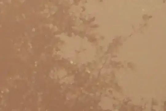 VNG4