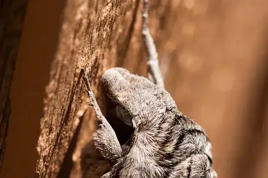 Giant Moth! Run!!