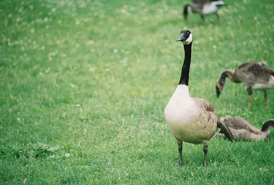 Guardian of the Field (-curvature)